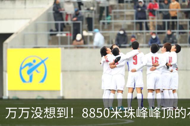 万万没想到！8850米珠峰峰顶的石头，竟来自4亿年前的海底！