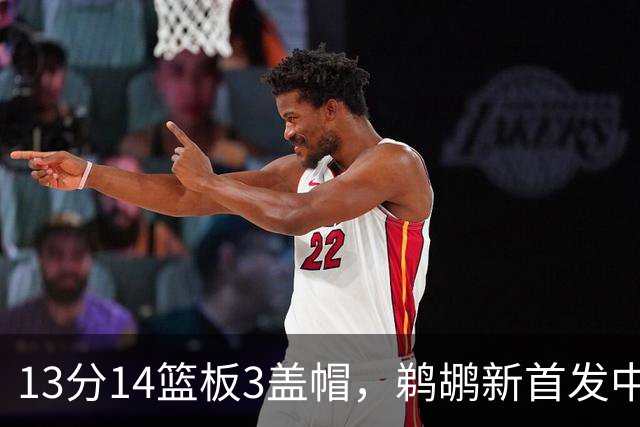 13分14篮板3盖帽，鹈鹕新首发中锋首秀交出两双